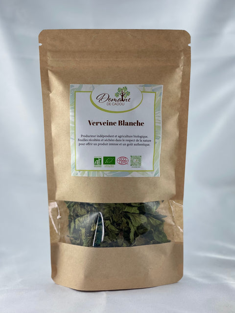 Verveine Blanche